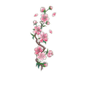 Falling Sakura