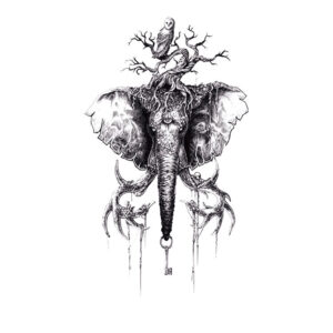 Key of the Wild