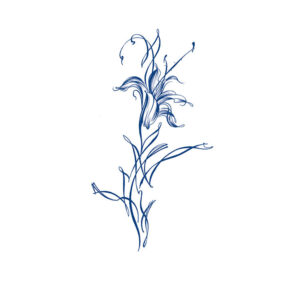 Lily Flow