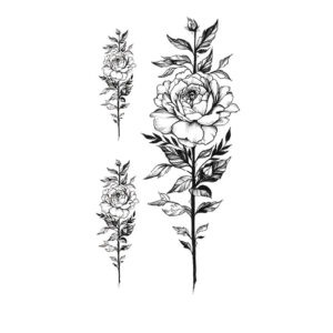 Rose Trio
