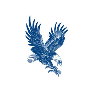Strike of the Eagle