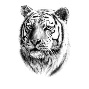 Tiger Soul