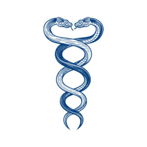 Twins of the Serpent
