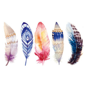 Watercolor Feathers