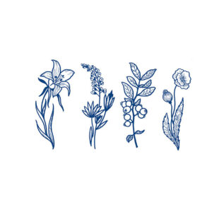 Wild Herb Garden