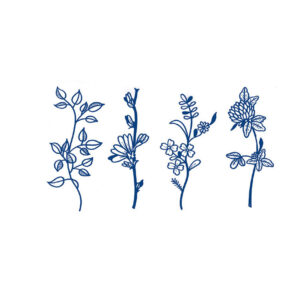 Wildflower Quartet