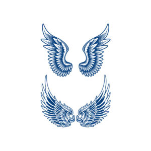 Wings of Ascension Set